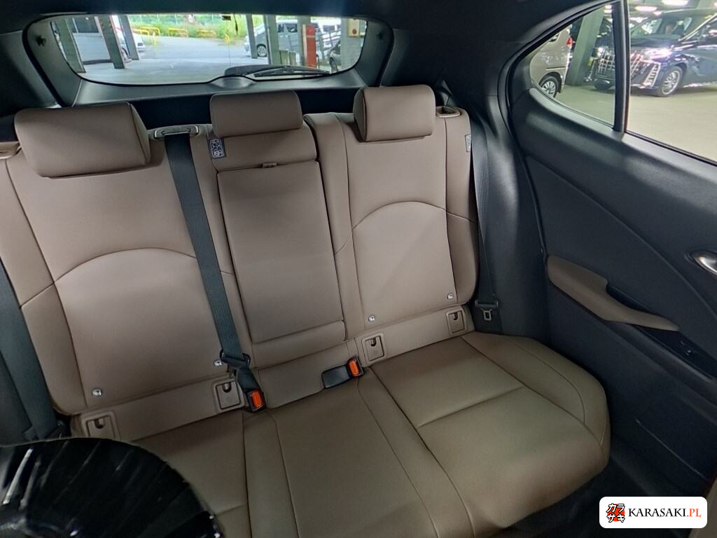 2023 Lexus Ux UX250H Graceful Explorer 6