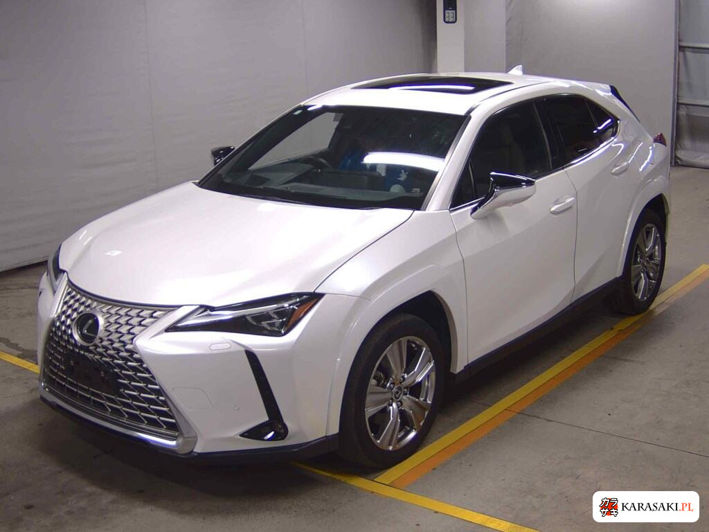 2023 Lexus Ux UX250H Graceful Explorer 3