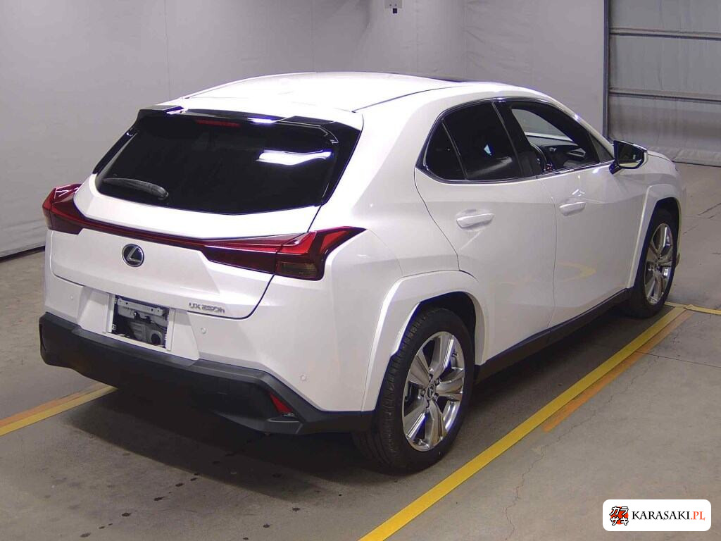 2023 Lexus Ux UX250H Graceful Explorer 4