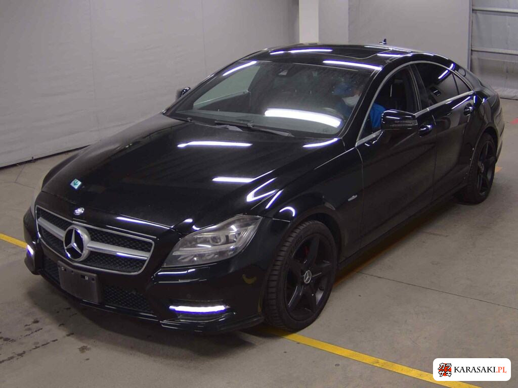 2011 Mercedes-Benz CLS-Class CLS350 Blueefficiency AMG Sports Package 3