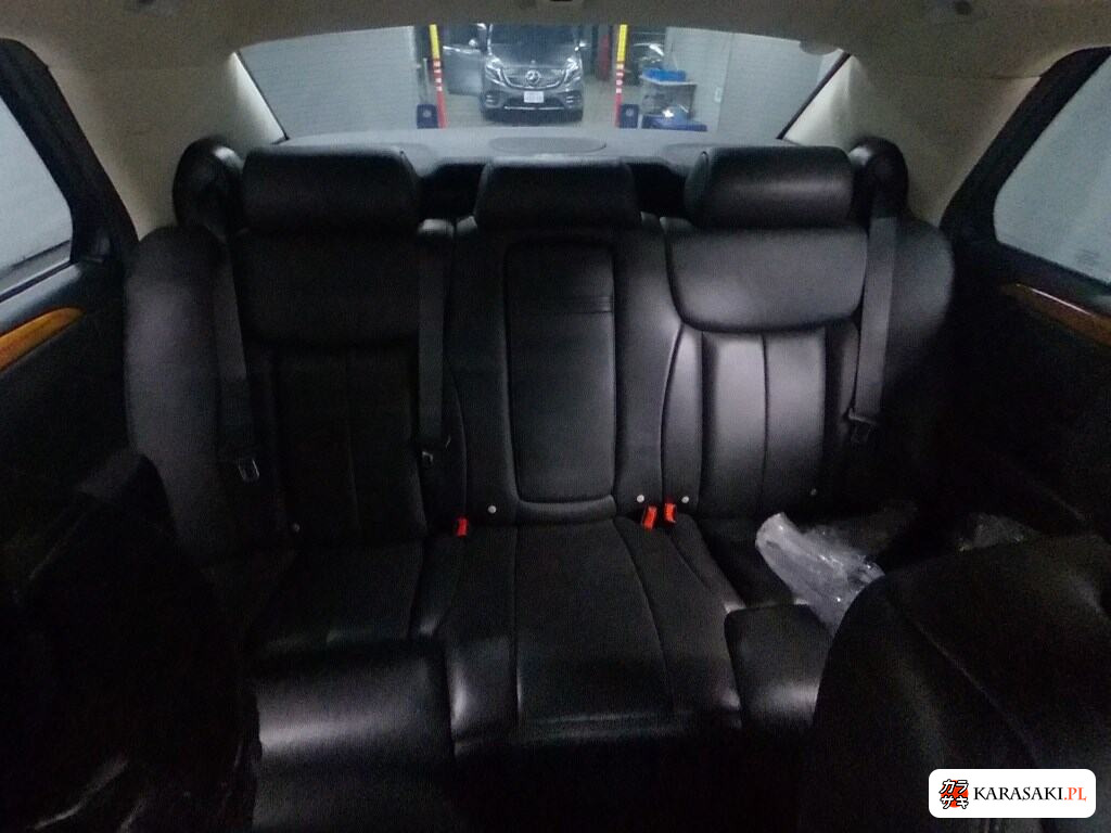 2010 Cadillac DTS Platinum 6