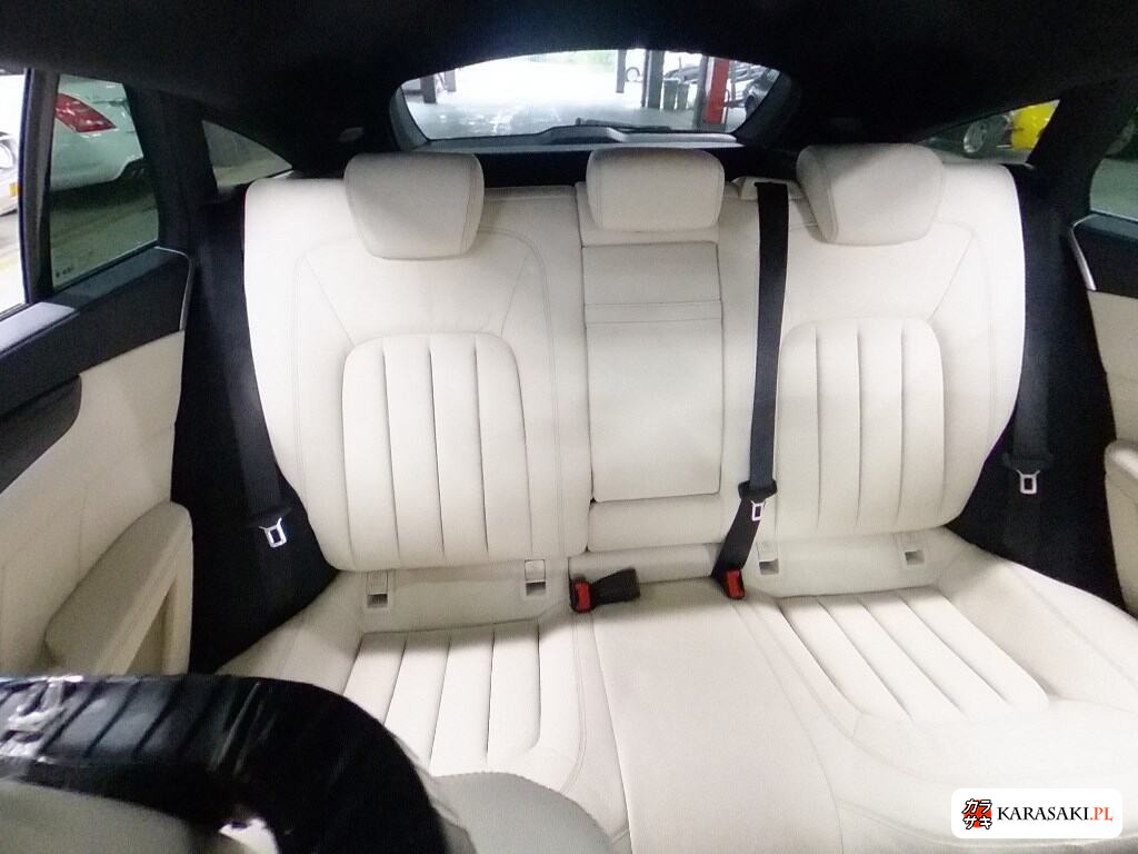 2013 Mercedes-Benz CLS-Class Shooting Brake 4WD CLS550 4MATIC Blueefficiency B 6