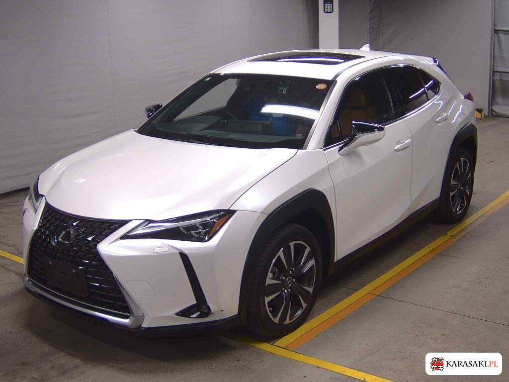 2023 Lexus Ux 4WD UX250H Version L 3