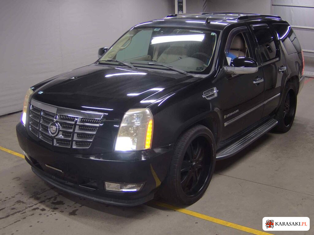 2010 Cadillac Escalade 4WD Base Grade 3