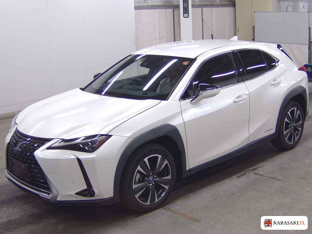 Lexus Ux 2019 z aukcji japońskiej