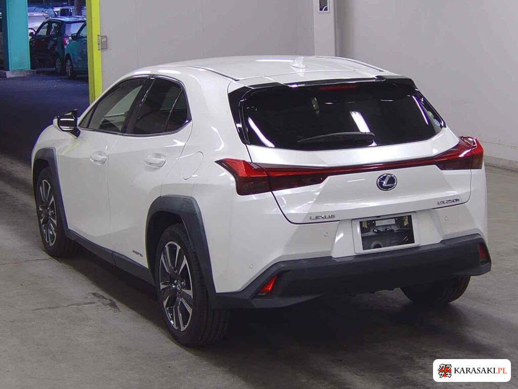 Lexus Ux 2019 z aukcji japońskiej