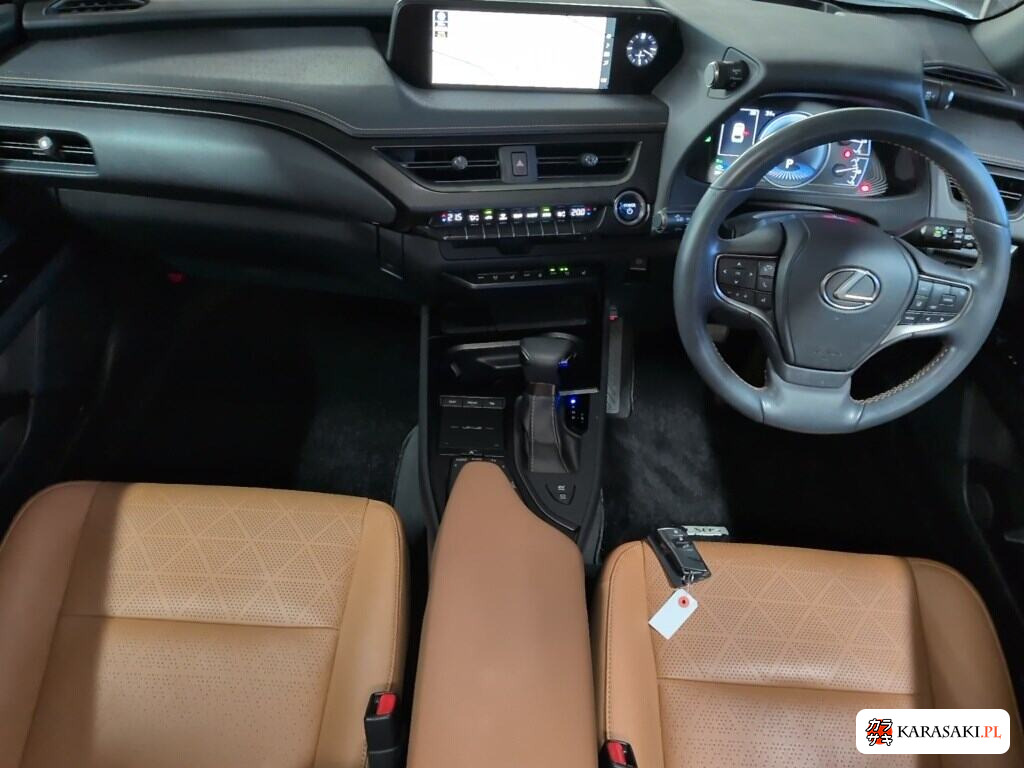 Lexus Ux 2019 z aukcji japońskiej