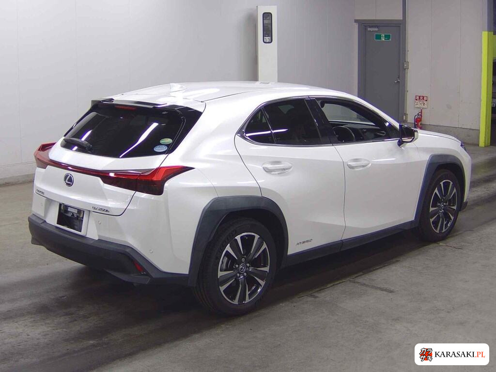 Lexus Ux 2019 z aukcji japońskiej