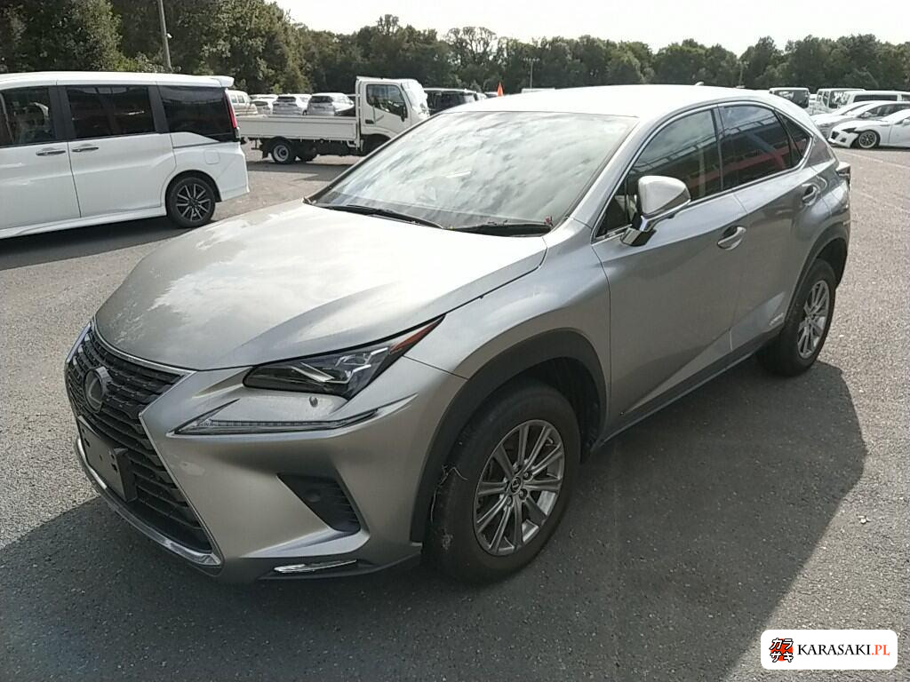 Lexus NX 2019 z aukcji japońskiej