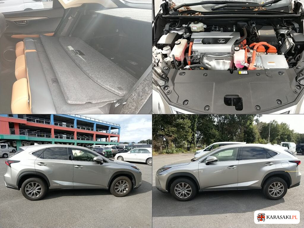 Lexus NX 2019 z aukcji japońskiej