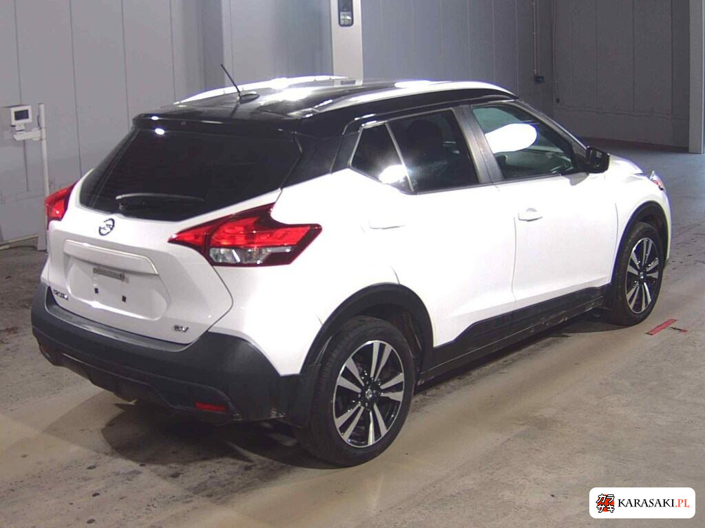 America Nissan Others 2022 z aukcji japońskiej