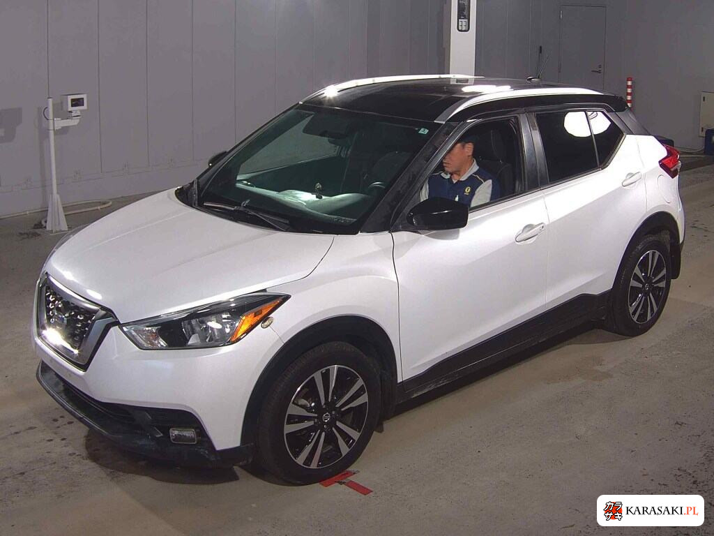 America Nissan Others 2022 z aukcji japońskiej