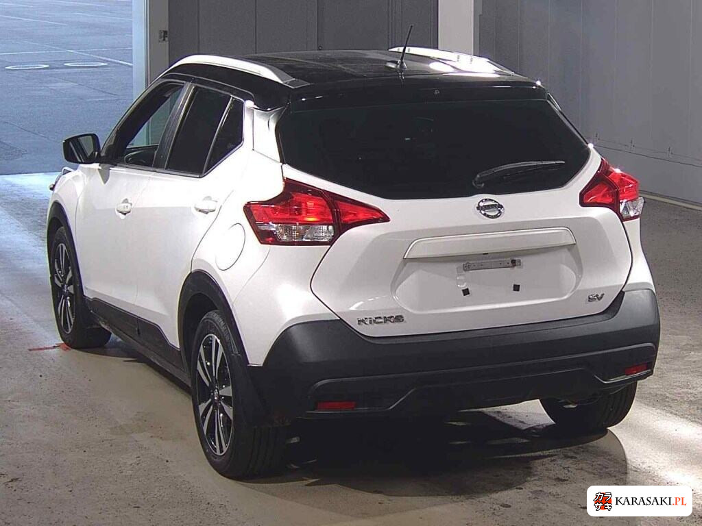 America Nissan Others 2022 z aukcji japońskiej