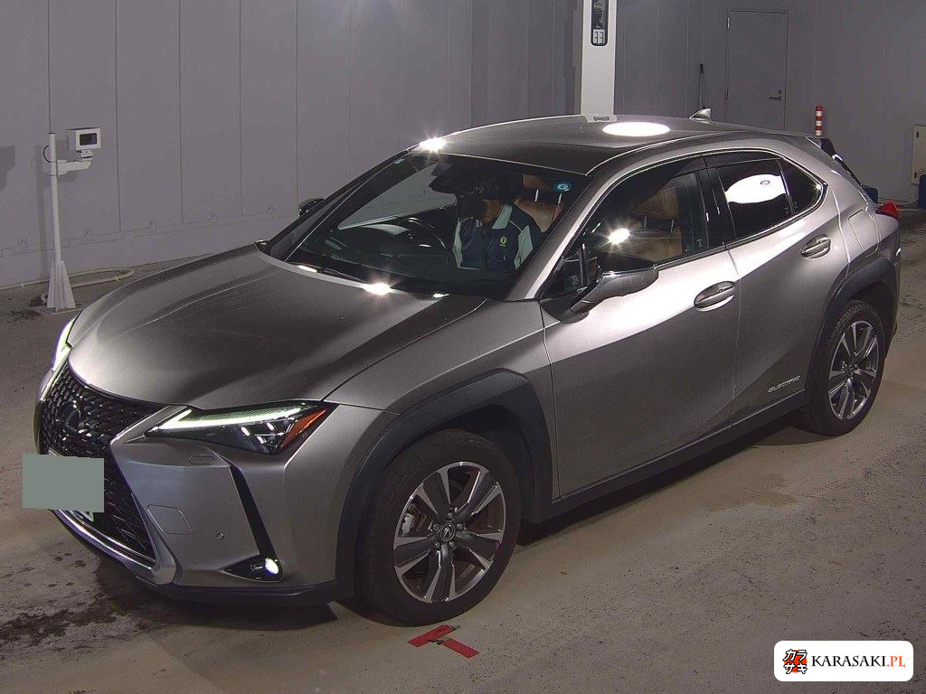 2021 Lexus UX300E Version L 3