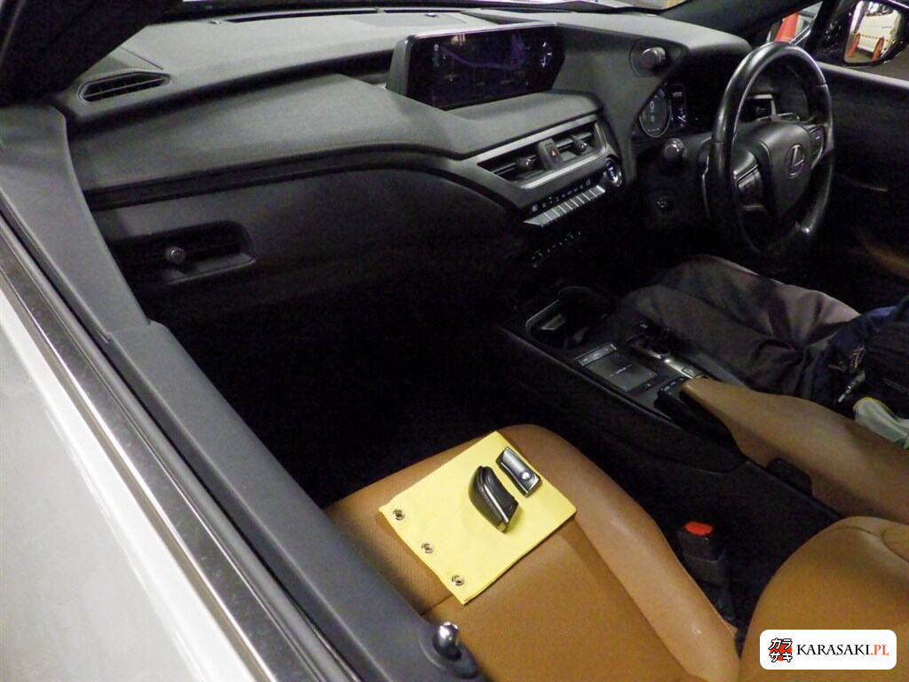 2021 Lexus UX300E Version L 5