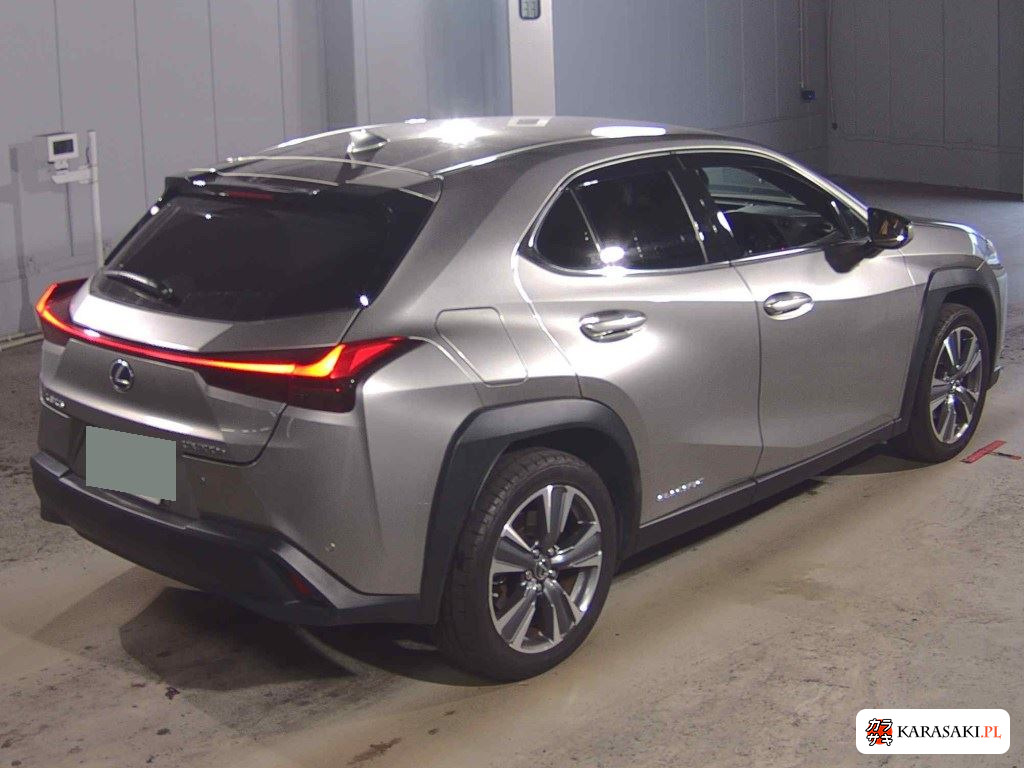 2021 Lexus UX300E Version L 4