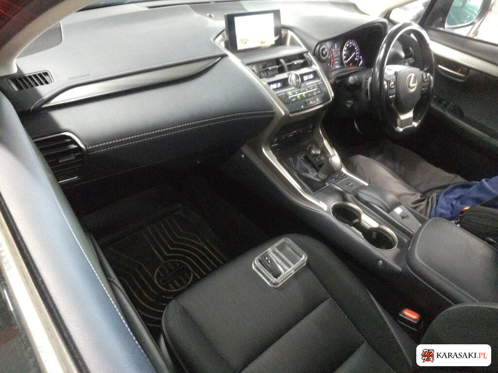 2015 Lexus NX NX300H 5