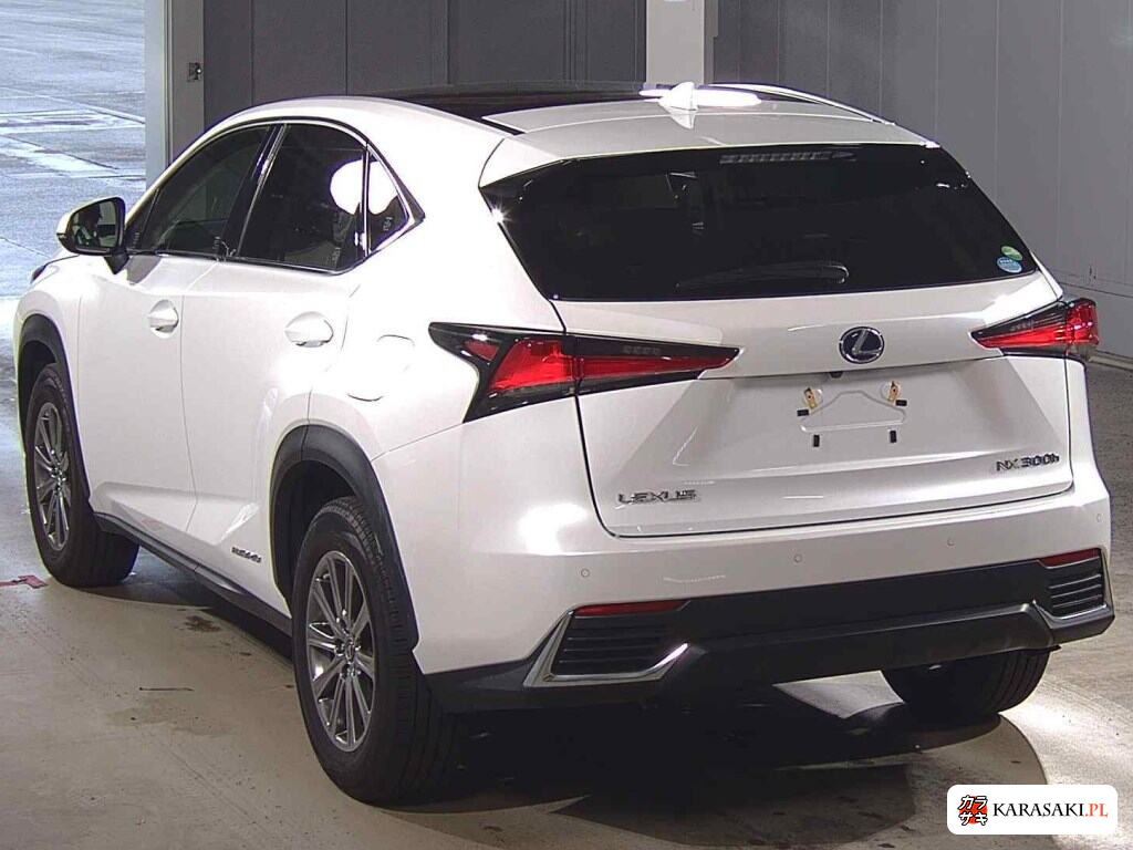 2018 Lexus NX 4WD NX300H I Package 2