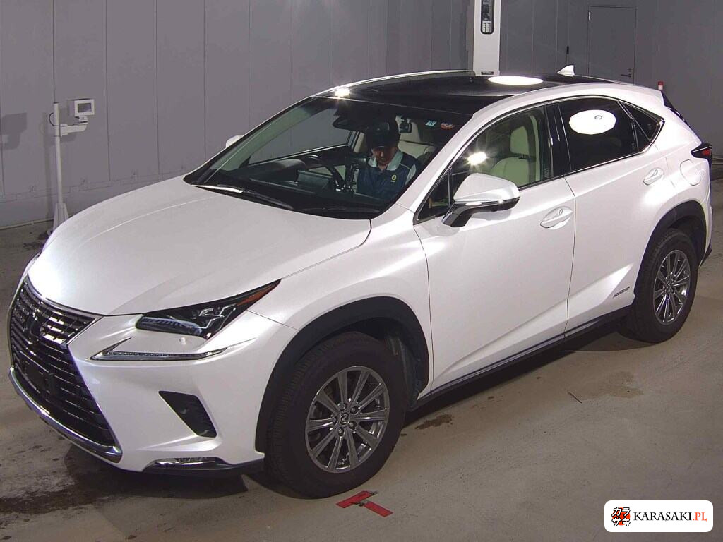 2018 Lexus NX 4WD NX300H I Package 3