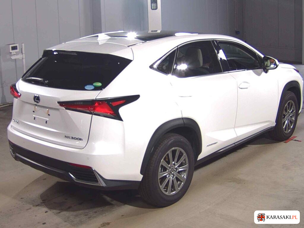 2018 Lexus NX 4WD NX300H I Package 4