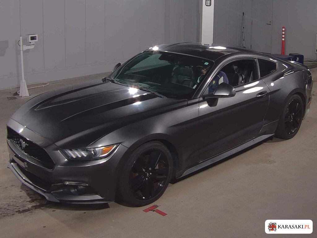 2015 Ford Mustang CP 50 Years Edition 3