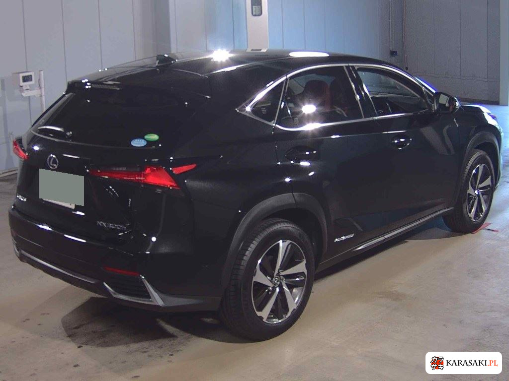Lexus NX 2019 z aukcji japońskiej