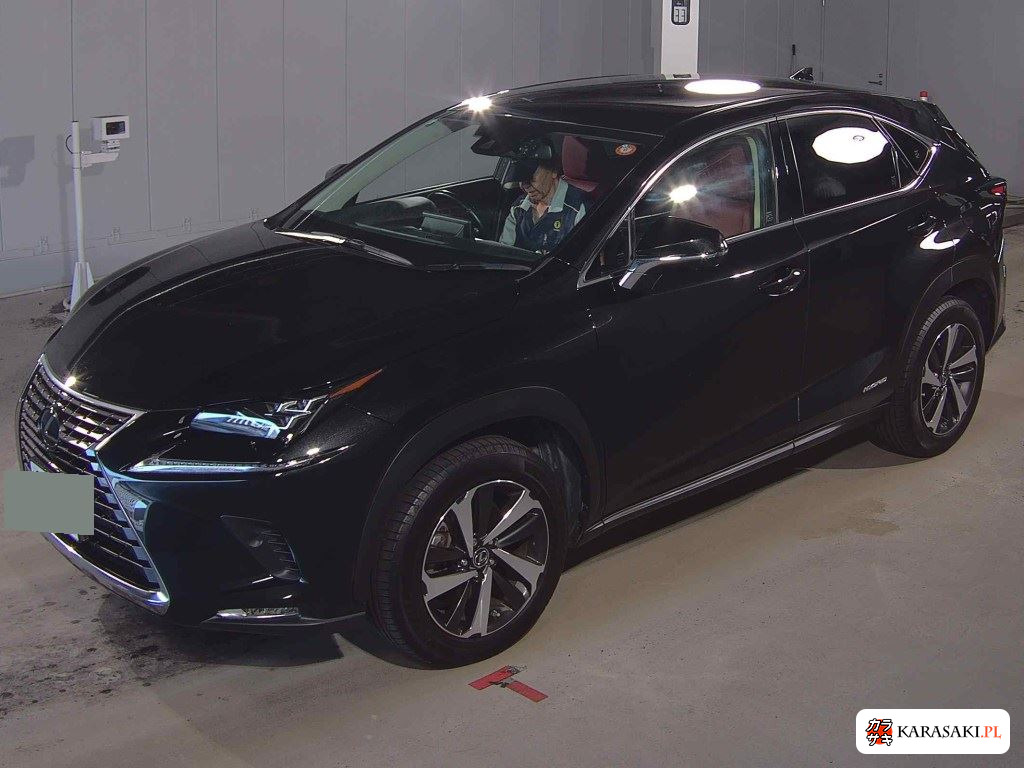 Lexus NX 2019 z aukcji japońskiej