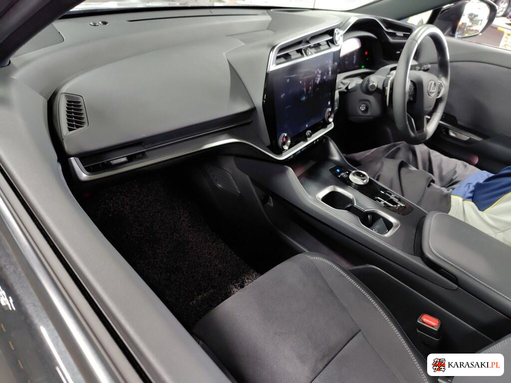 2025 Lexus RZ 4WD RZ450E Version L 5