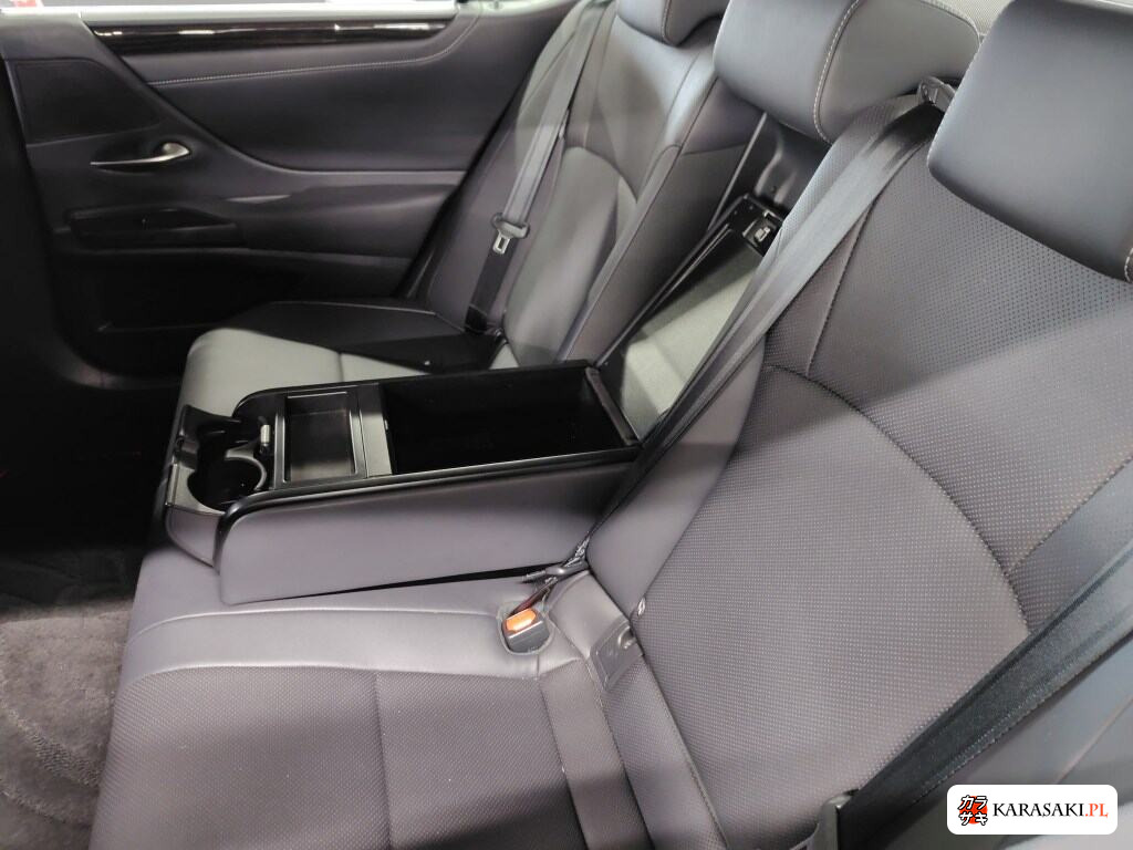 2019 Lexus Es ES300H 6