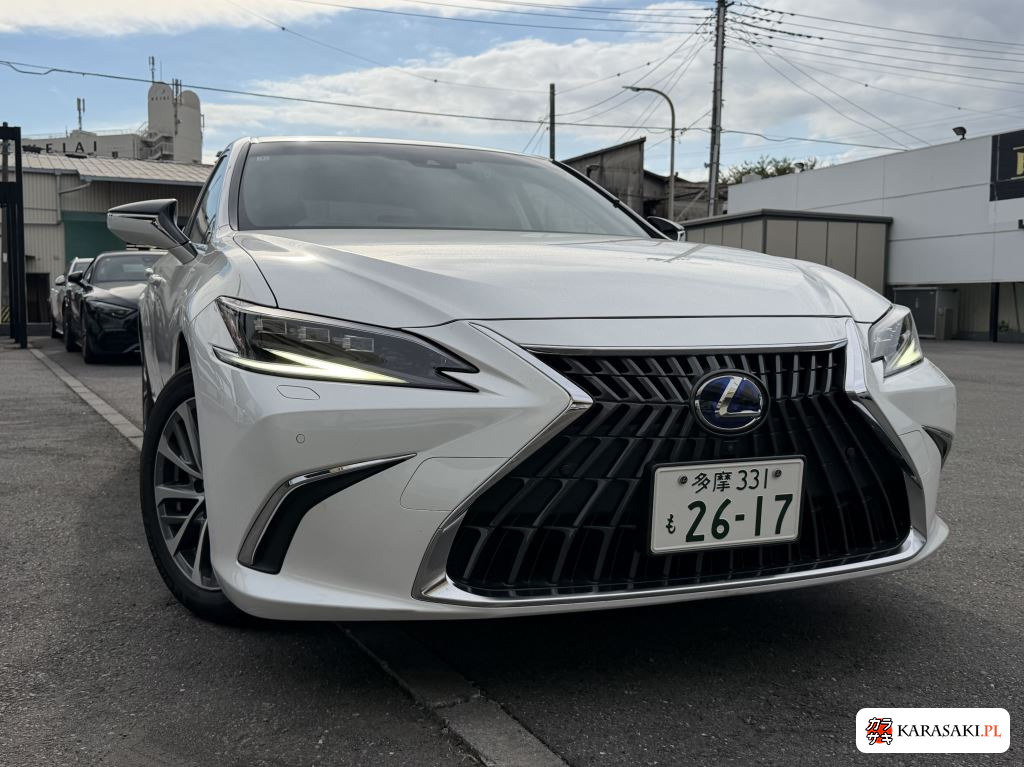 2022 Lexus Es ES300H 9