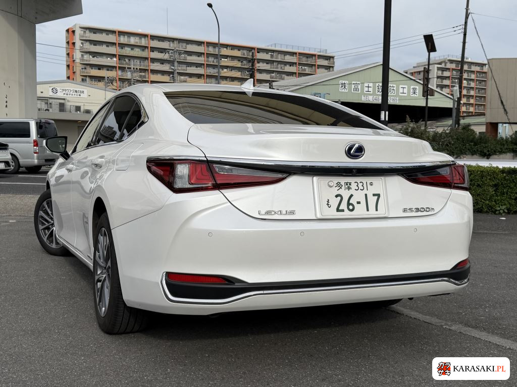 2022 Lexus Es ES300H 10