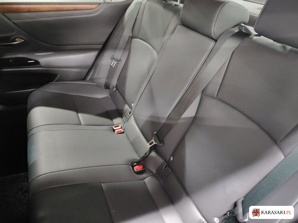 2022 Lexus Es ES300H 6