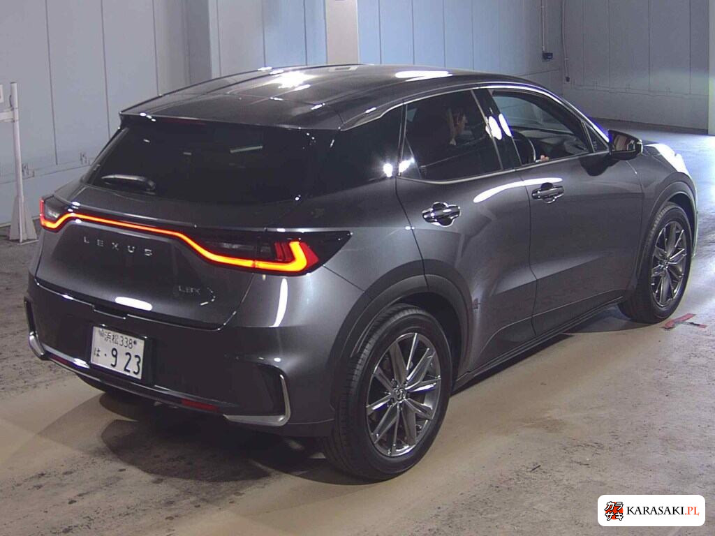 2024 Lexus LBX Relax 4