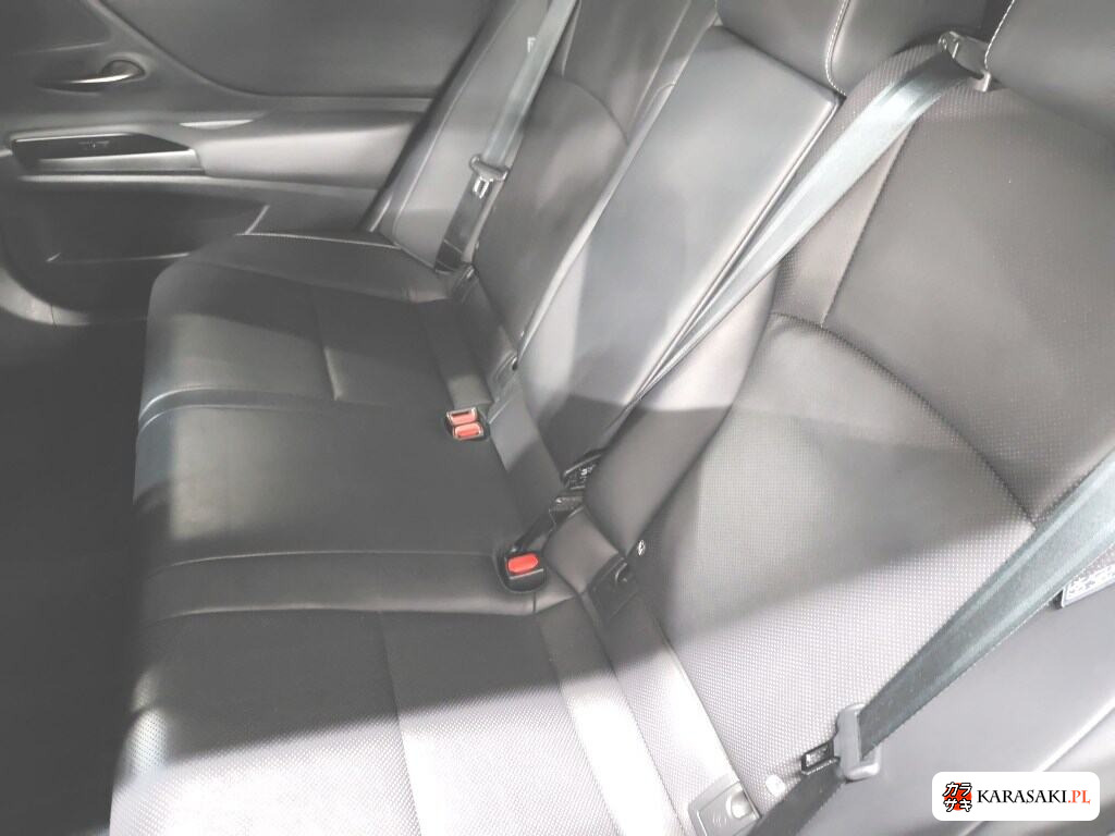 2019 Lexus Es ES300H 6
