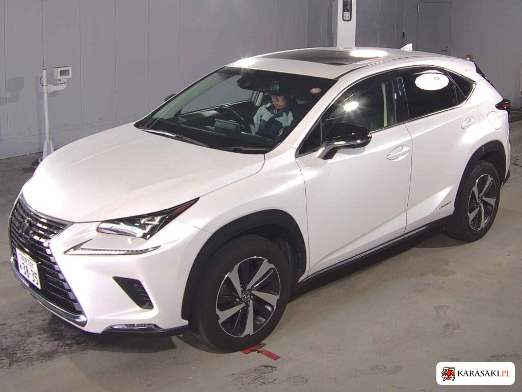 2017 Lexus NX NX300H I Package 3