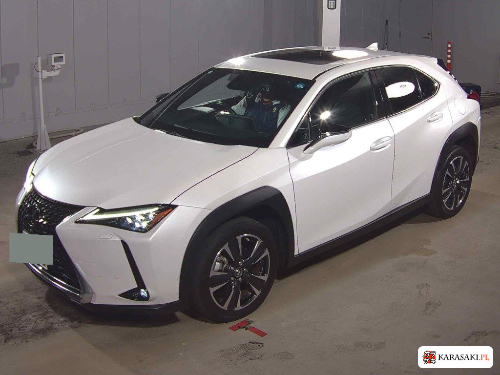 2023 Lexus Ux UX250H Version L 3
