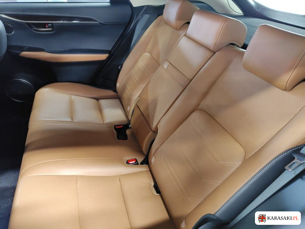 2018 Lexus NX NX300H Version L 6