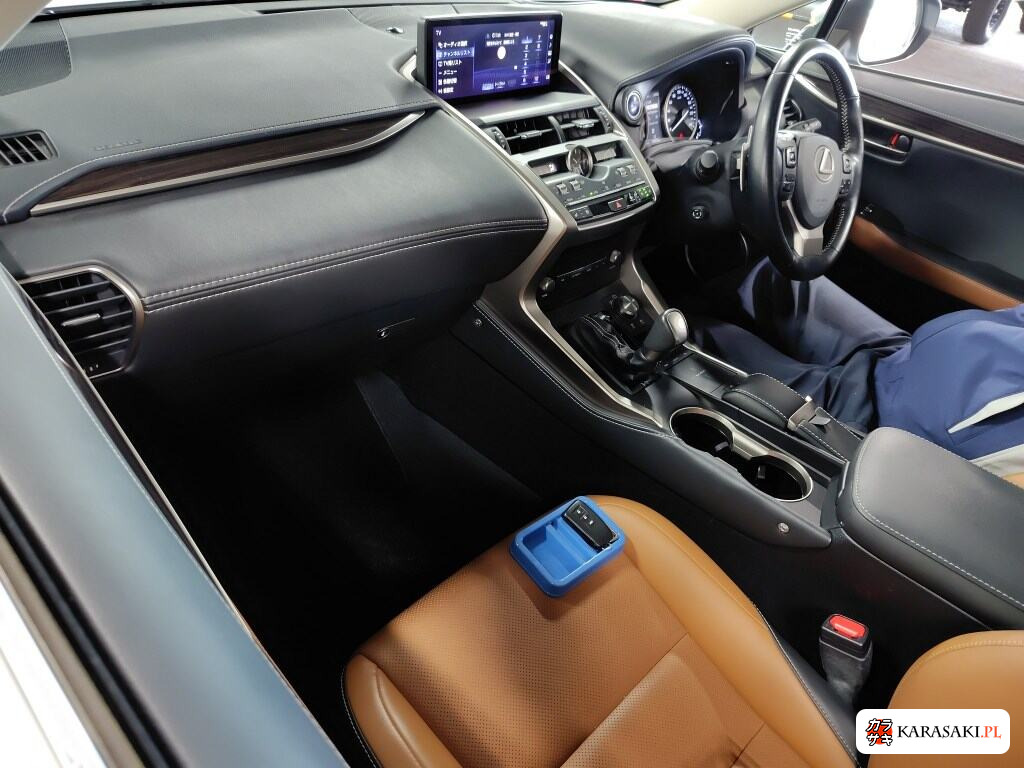 2018 Lexus NX NX300H Version L 5