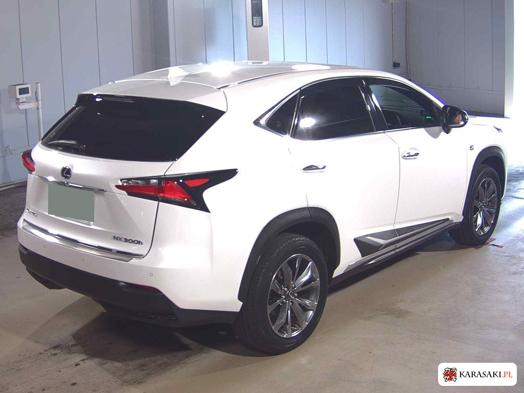2017 Lexus NX NX300H F Sport 4