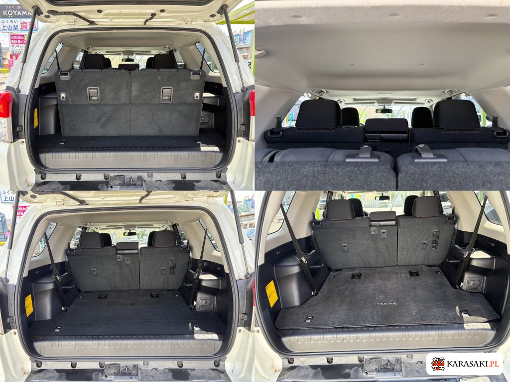 2010 America Toyota 4RUNNER SR5 14