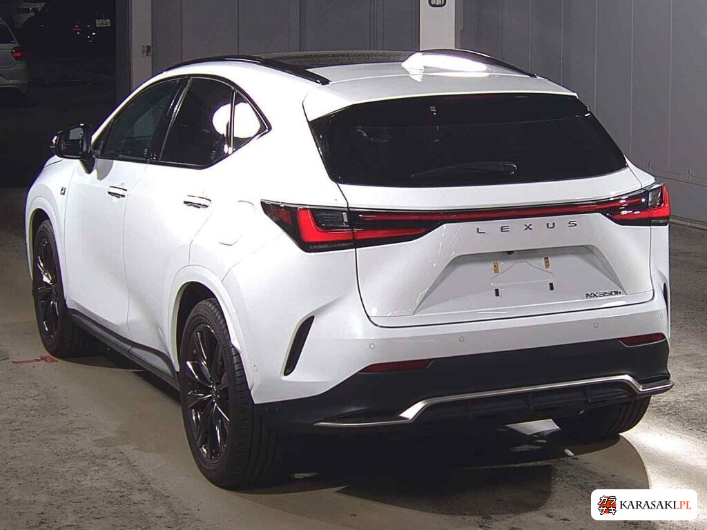 Lexus NX 2023 z aukcji japońskiej