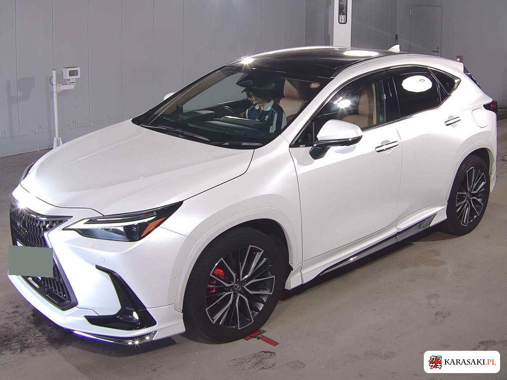 Lexus NX 2025 z aukcji japońskiej
