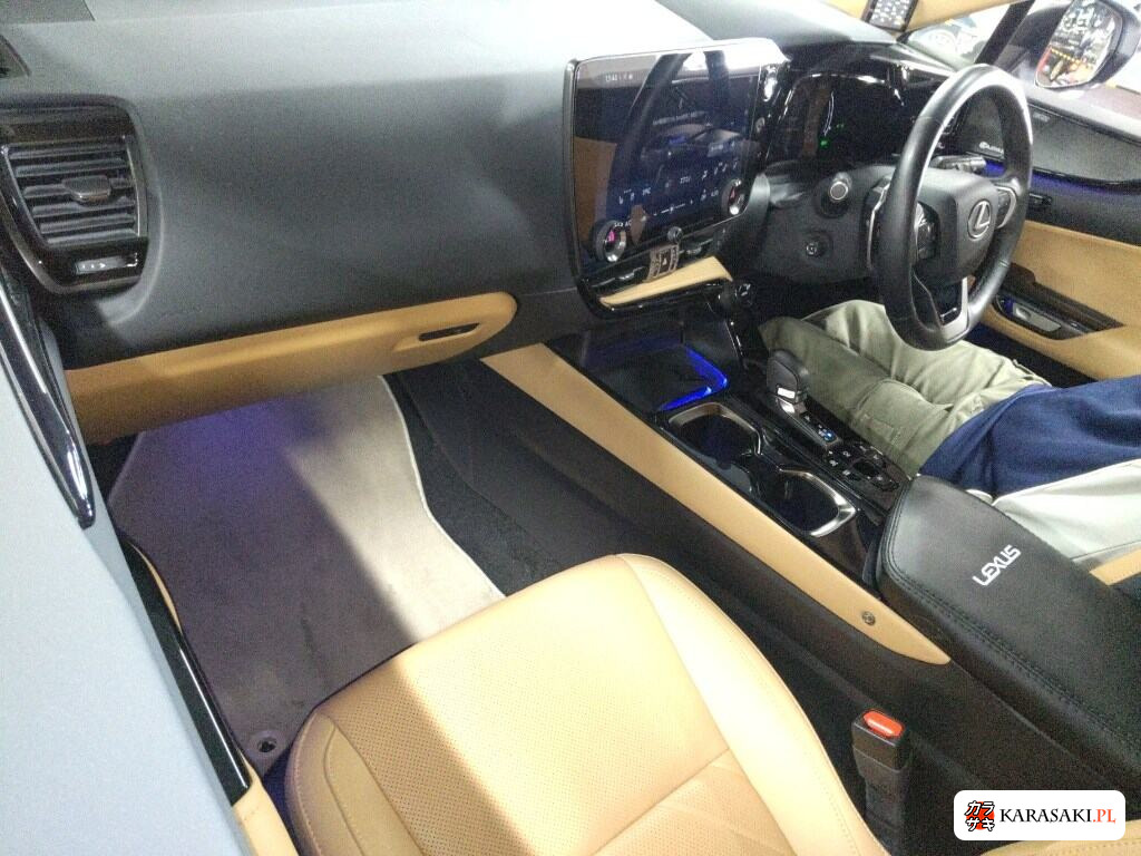 Lexus NX 2025 z aukcji japońskiej