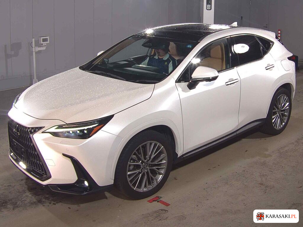 Lexus NX 2024 z aukcji japońskiej