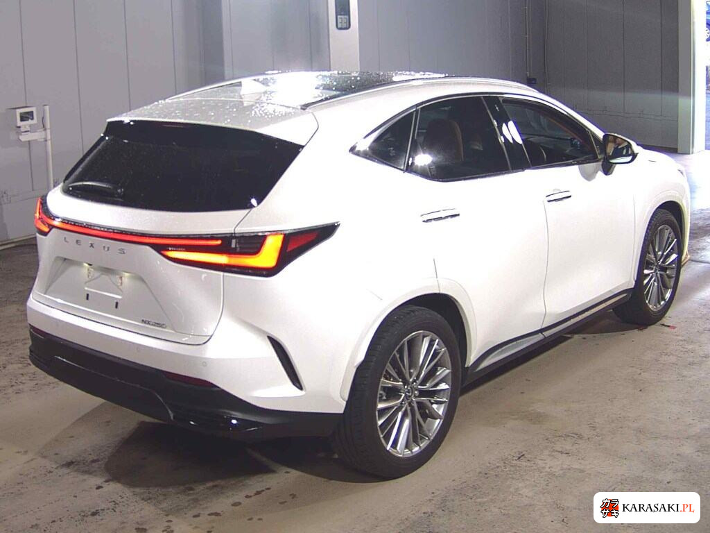 Lexus NX 2024 z aukcji japońskiej