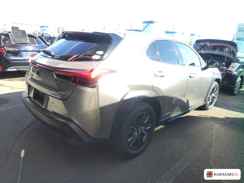 Lexus Ux 2020 z aukcji japońskiej