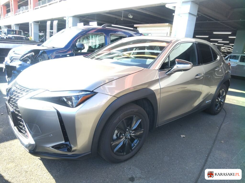Lexus Ux 2020 z aukcji japońskiej