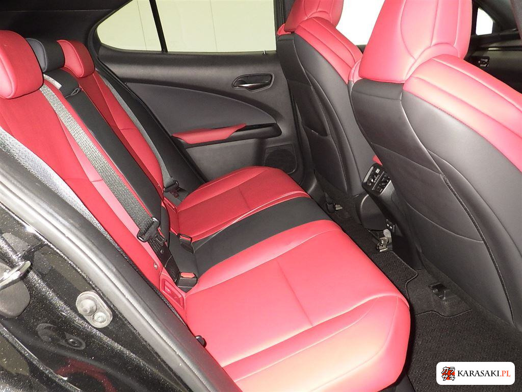 2021 Lexus Ux UX250H F Sport 6