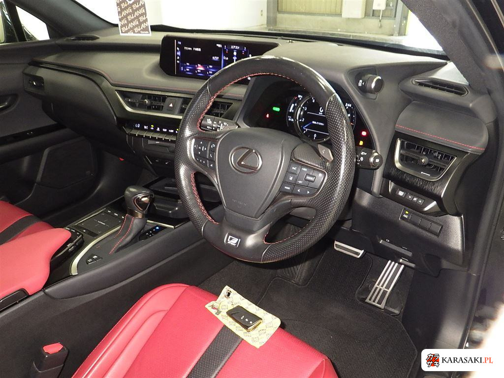 2021 Lexus Ux UX250H F Sport 5