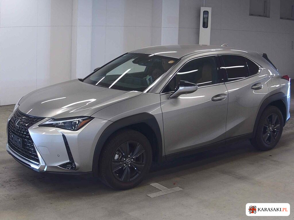2023 Lexus Ux UX250H Version C 3
